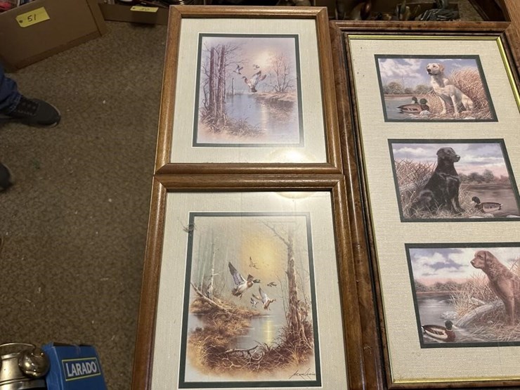 wildlife-framed-portraits-image-2