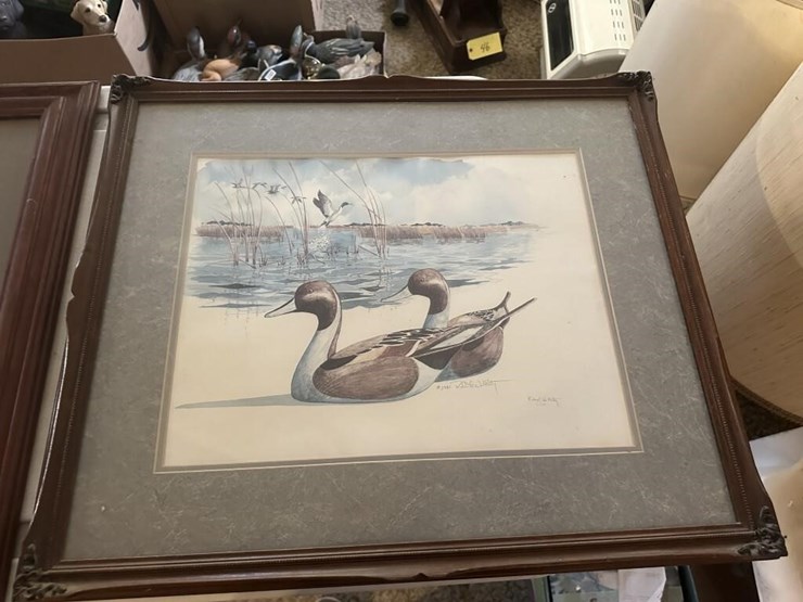 wildlife-framed-portraits-image-4