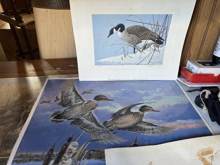 vintage-wildlife-portraits-image-4