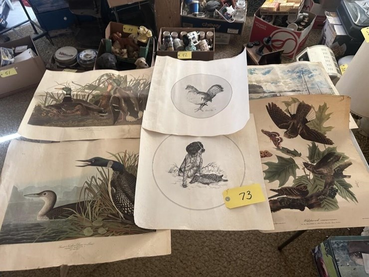 wildlife-portraits-image-8