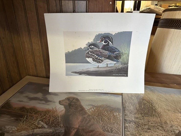 vintage-wildlife-portraits-image-3