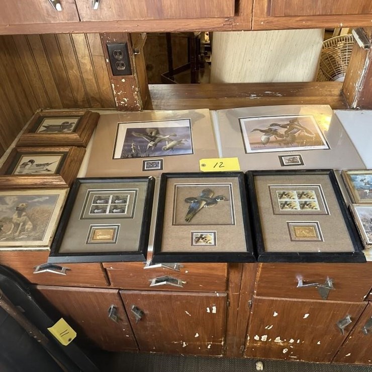 Ducks Unlimited Collection