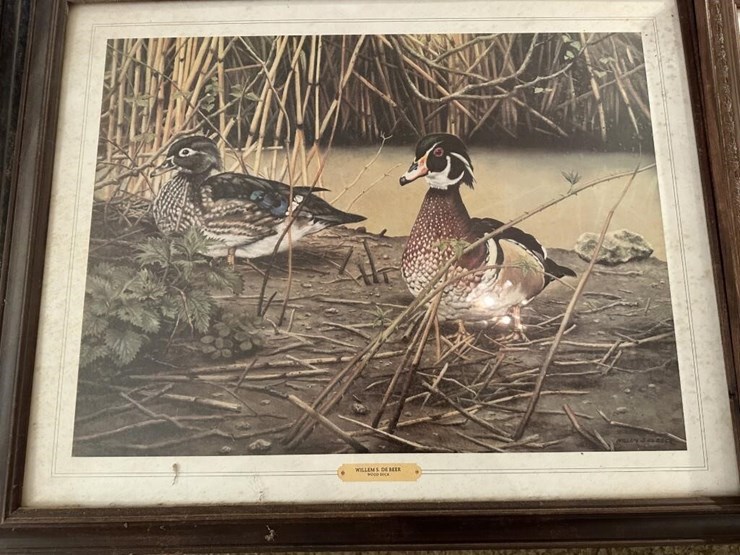 wildlife-framed-portraits-image-2