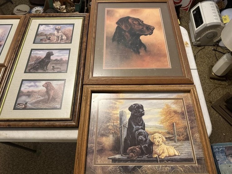 wildlife-framed-portraits-image-4