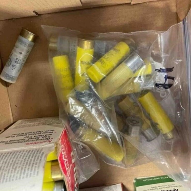 20ga, ammo