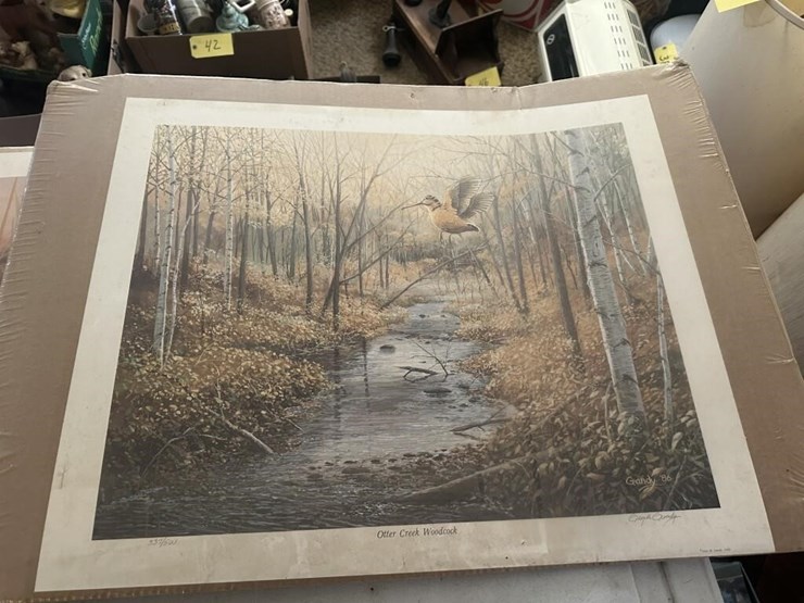 wildlife-portraits-image-4