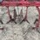 pittsburg-4-row-cultivator-image-4