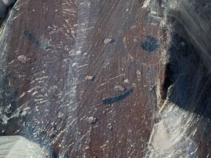 #257-•-radius-cutter-heads-image-5