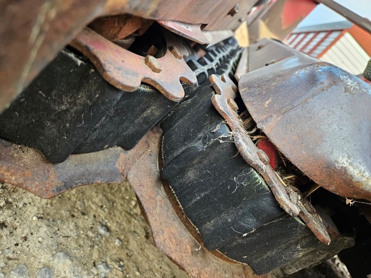 international-30-image-10