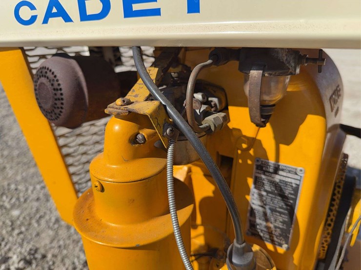 international-cub-image-20