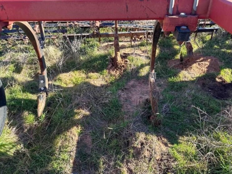 41’-sunflower-2433-chisel-image-26