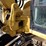 2013-caterpillar-308e-image-16