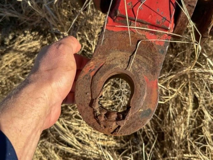 41’-sunflower-2433-chisel-image-32