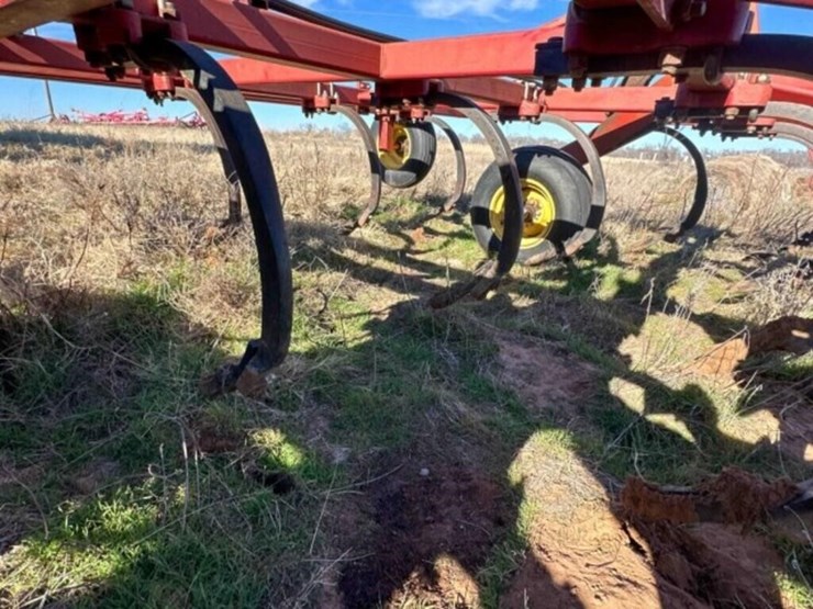 41’-sunflower-2433-chisel-image-24