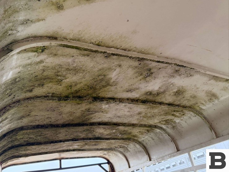 1990-hworl-horse-trailer-image-24