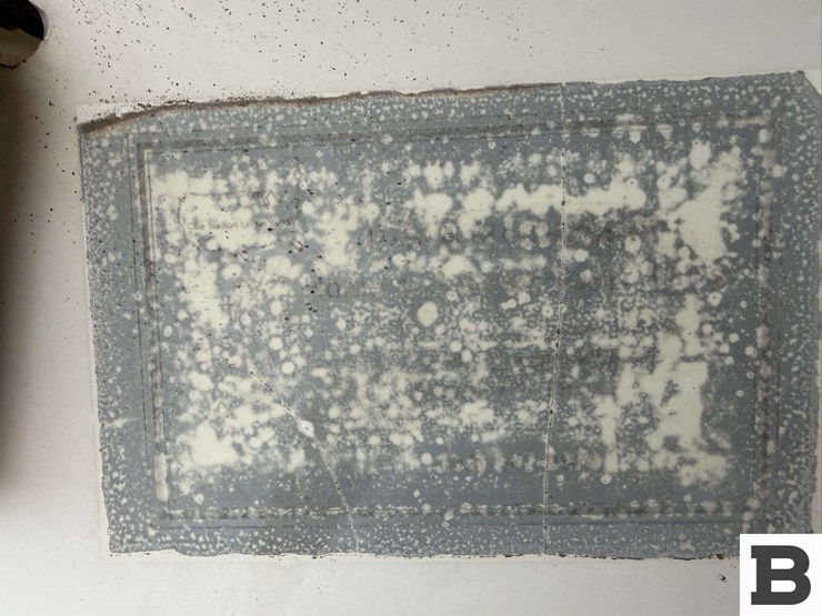 1990-hworl-horse-trailer-image-11