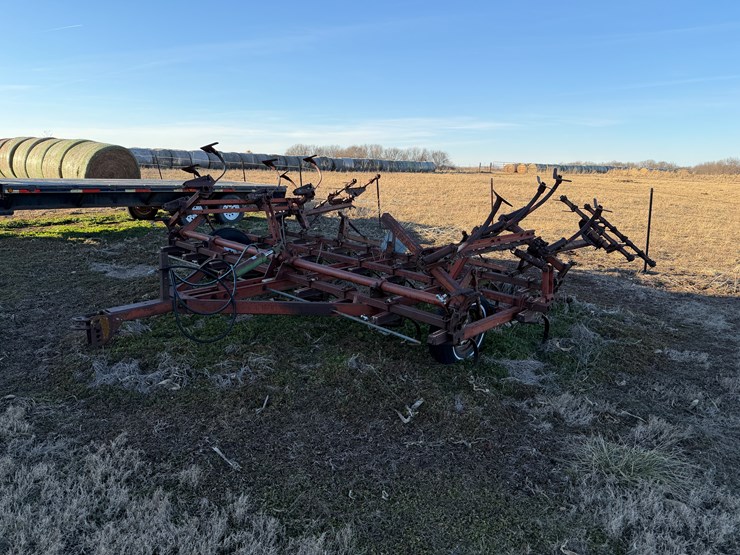 international-45-image-6