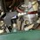 #211-•-hyd-pump-drive-w/-complete-system-image-21
