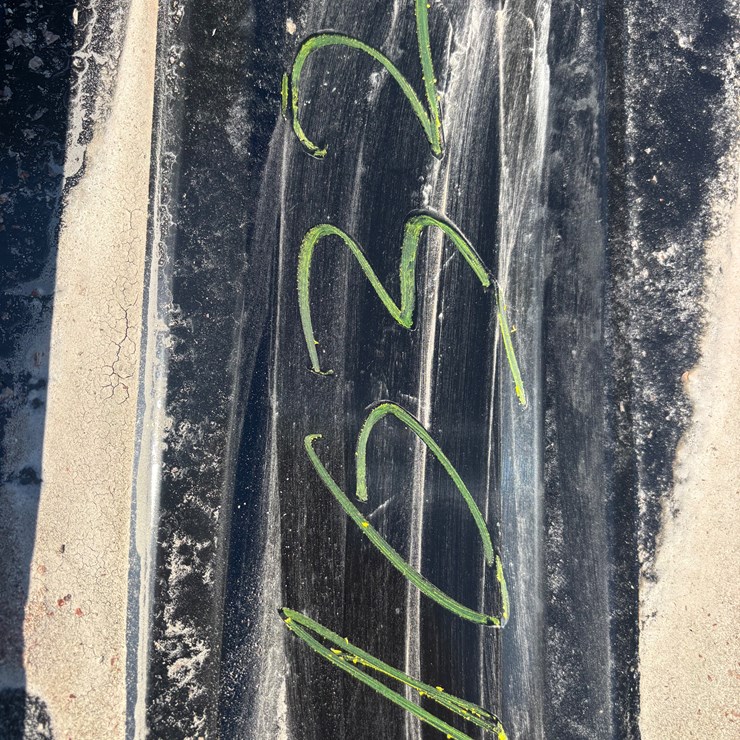 #1032 • 22 Gauge Painted R Panels