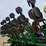 john-deere-1790-image-25