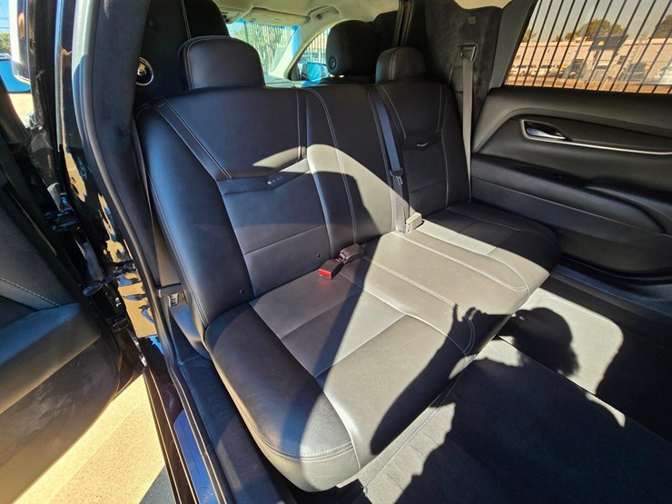 2017-cadillac-federal-70-in-limo---30,529-miles-w-premium-coachwork-by-federal-image-26