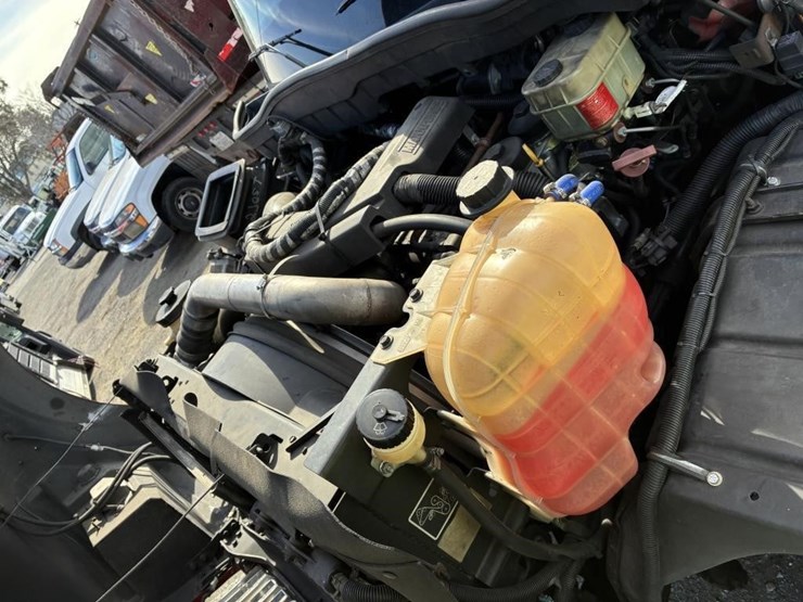 2015-international-terrastar-image-6