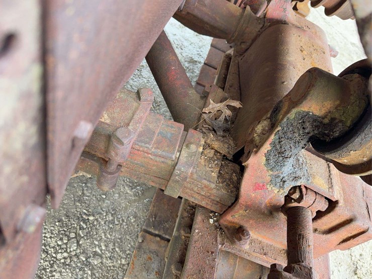 international-35-image-45