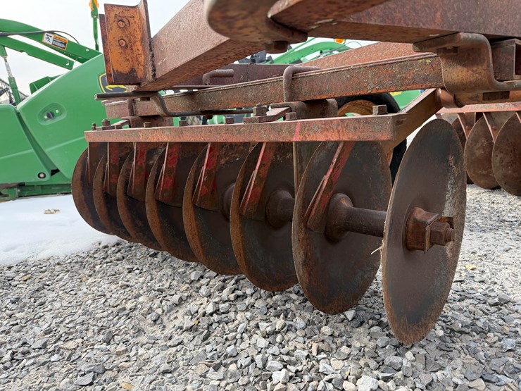 international-37-image-5