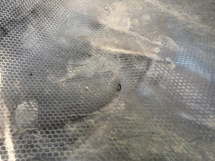 2008-chevrolet-2500-image-14