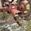 1950-farmall-h,-not-running-image-7