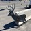 new-pabreak-sst23-deer-shaped-shooting-target-new-support-equipment-image-1