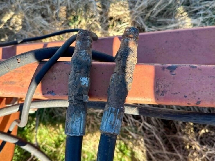 41’-sunflower-2433-chisel-image-6