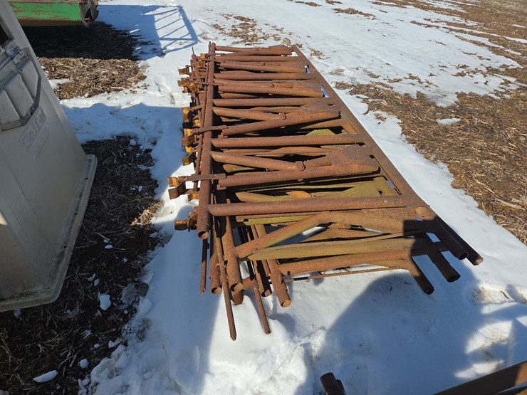 (6)-5-head-cattle-headlocks-image-6