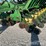 2007-john-deere-1790-image-13