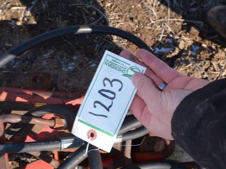 wil-rich-11-shank-ripper-image-15