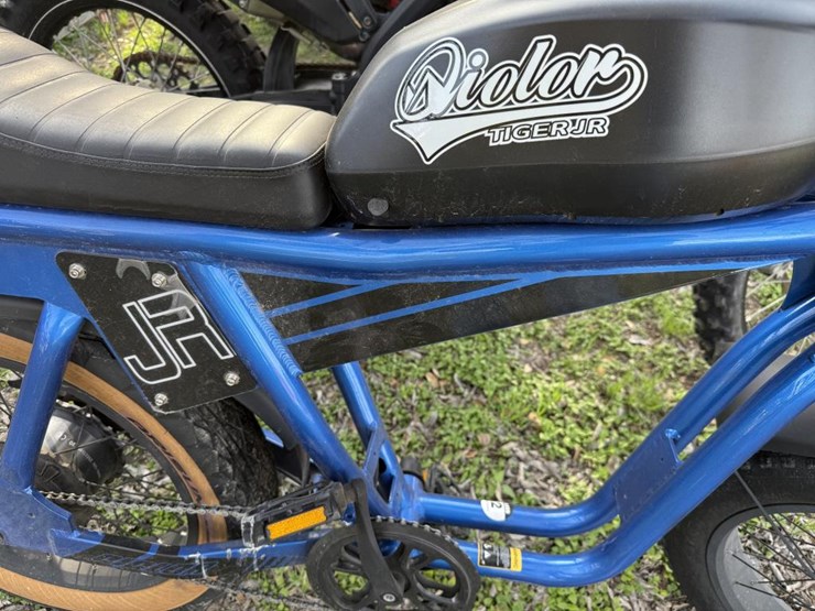 #55-•-oiolor-tiger-jr.-electric-bike-image-2