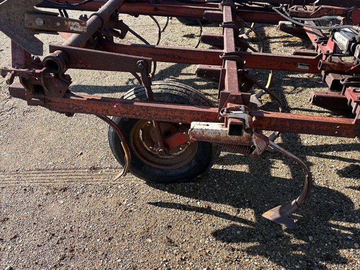 international-45-image-3