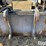 arrow-3209615b144g-bucket-w/dual-grapples-image-16