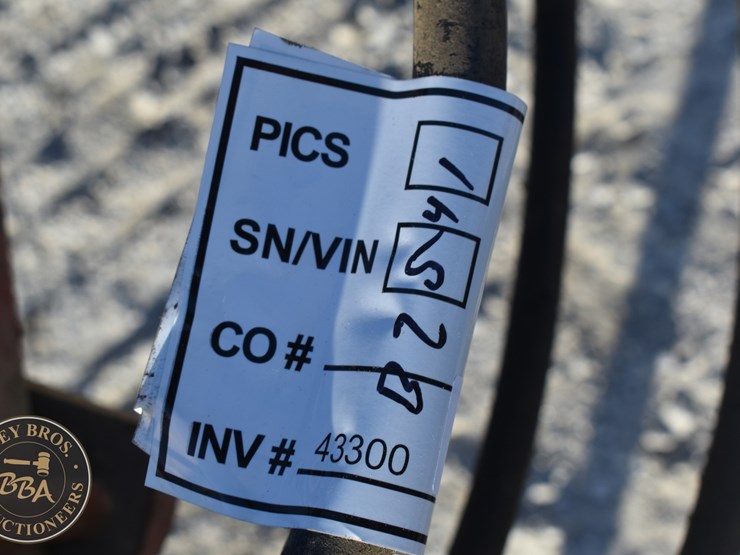 international-7-image-15