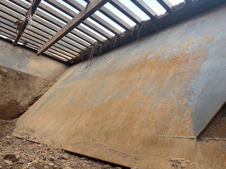 #2043-•-duo-vibe-fgdv-screening-plant-image-24