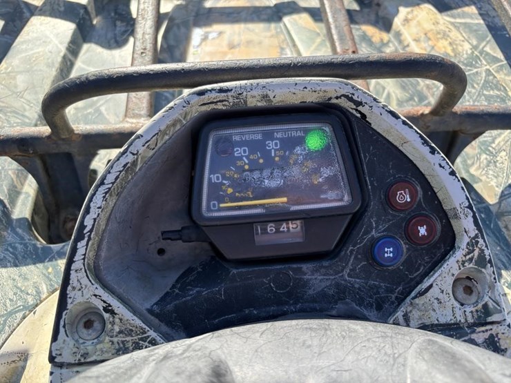 2009-yamaha-grizzly-350-image-10