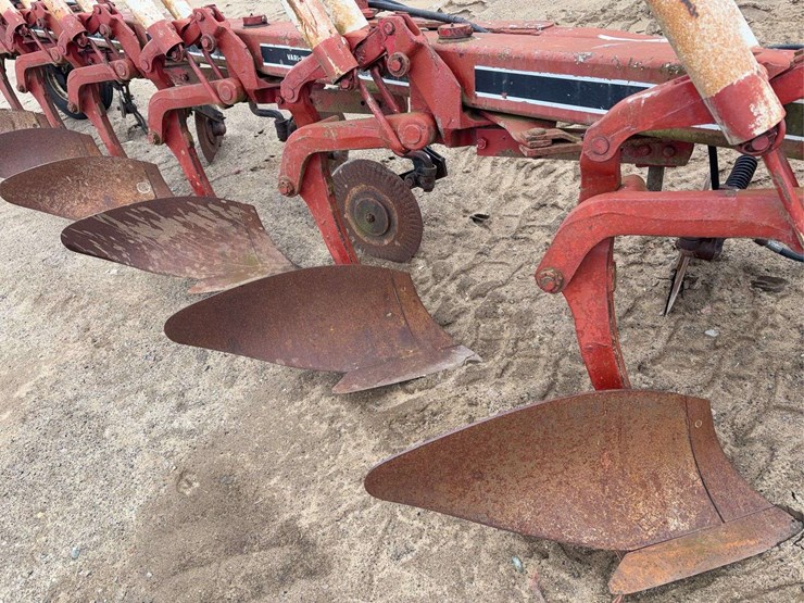 international-735-image-4