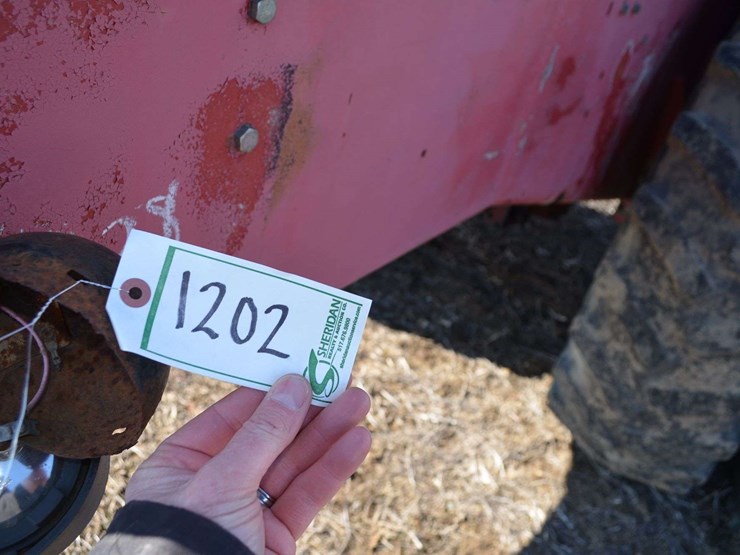 international-4586-image-21