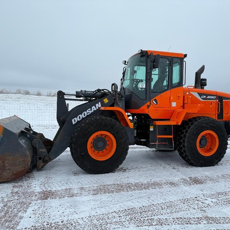 2018 DOOSAN DL250-5