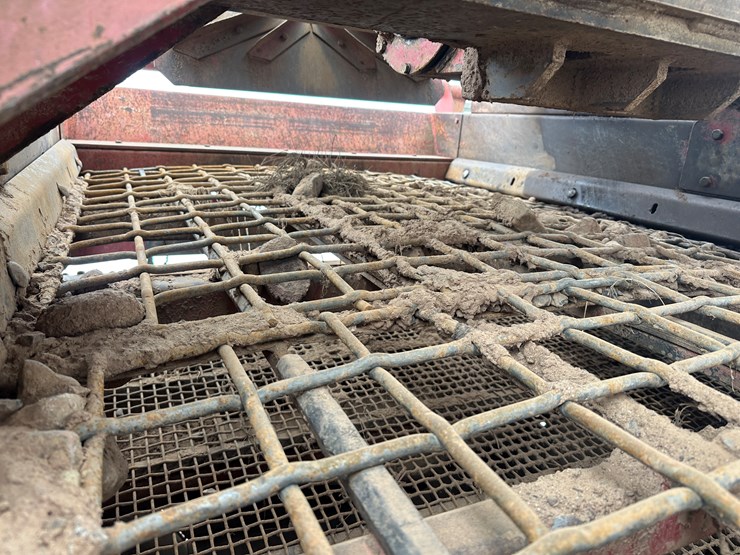 #2043-•-duo-vibe-fgdv-screening-plant-image-56