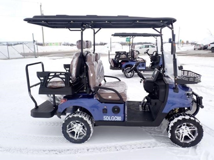 unused-2025-sdlanch-sdlgc80-golf-cart-lq8025100919-image-4