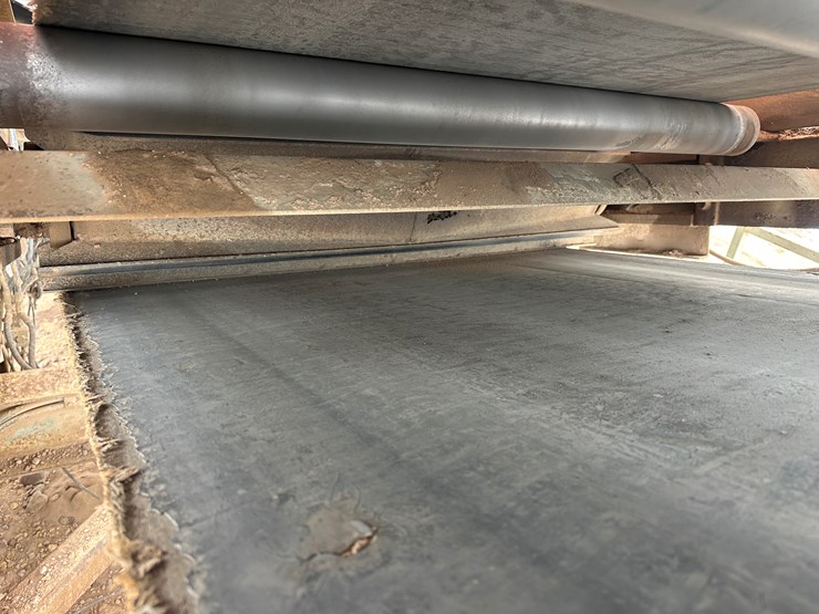 #2043-•-duo-vibe-fgdv-screening-plant-image-51