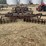 international-3pt-12'-disc-harrow-image-4