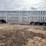2018-wilson-livestock-trailer-image-4
