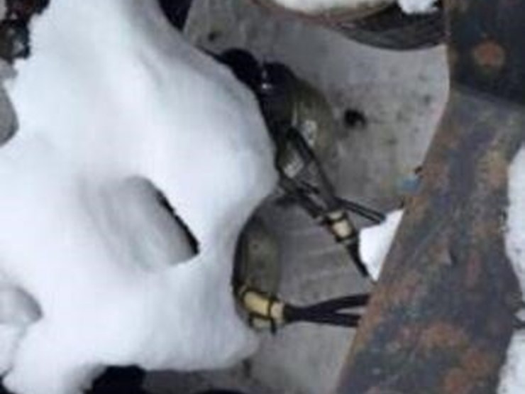 2012-rogers-lowboy-image-19